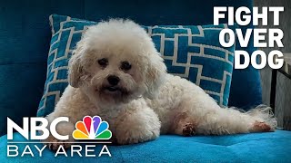 East Bay couple says woman won't return their lost service dog