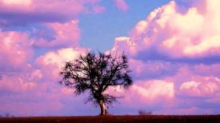 Mike Oldfield   Foreign Affair.flv