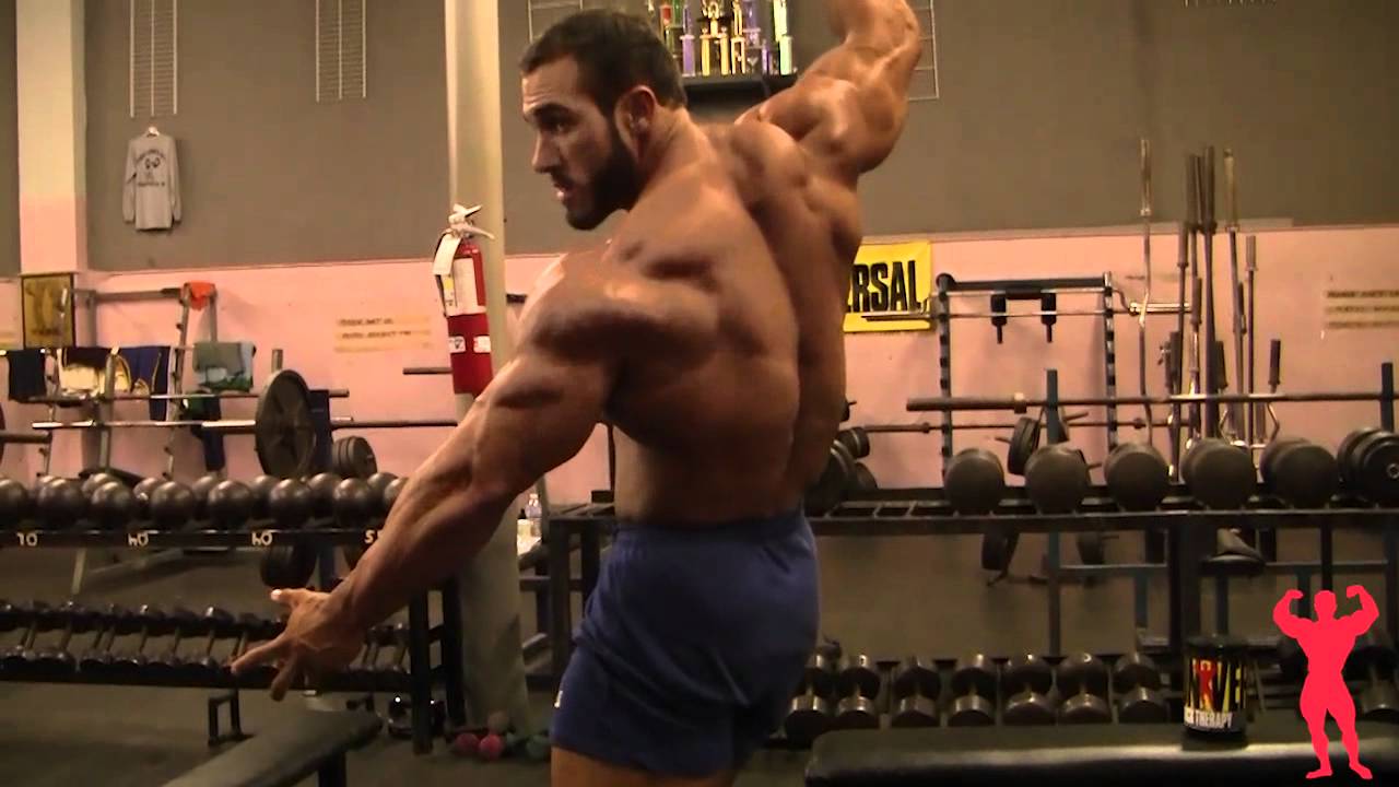 Universal: Posers Wanted