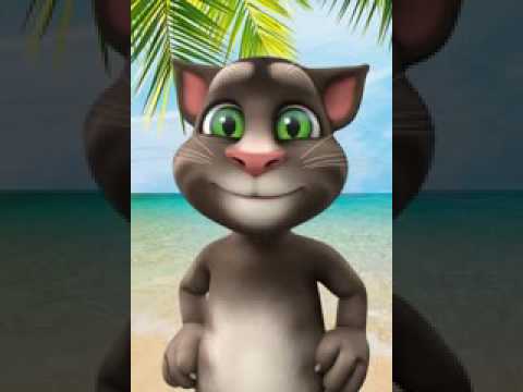 عادي الكوت بصوت توم المتكلم