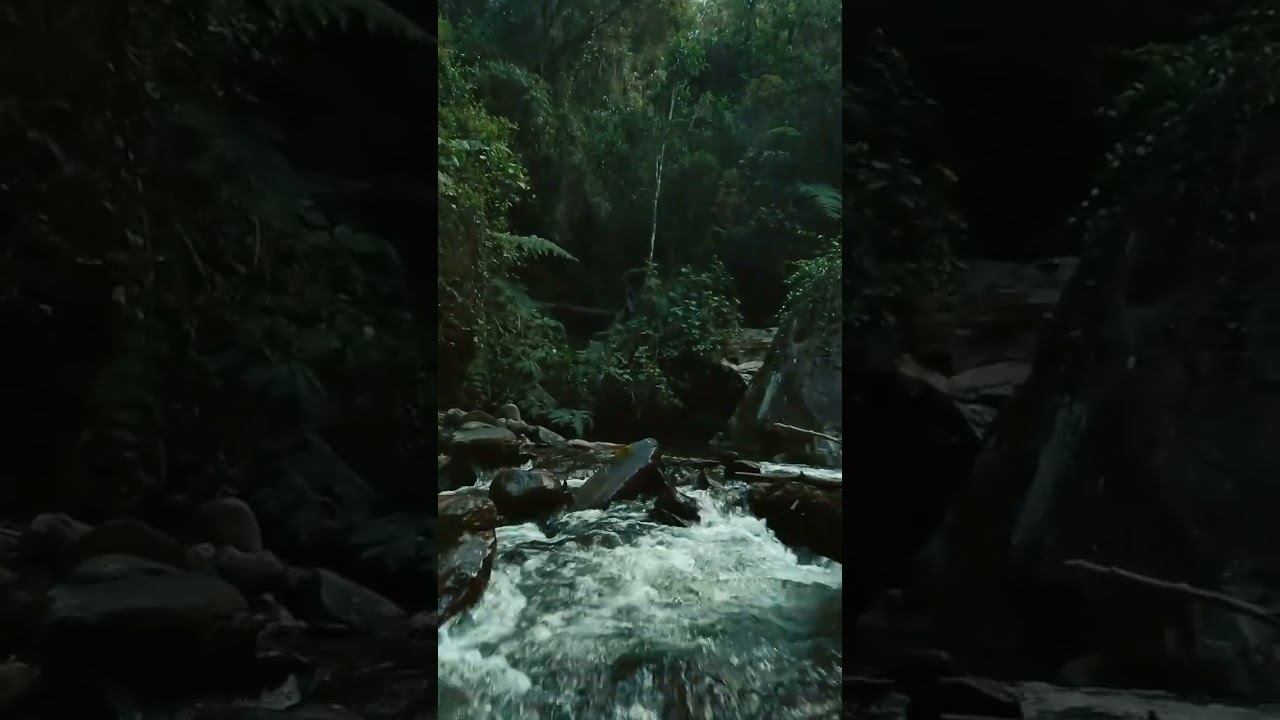 Flying FPV-Drone through the Colombian Jungle