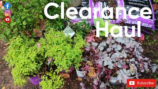 Clearance shopping trip and planting coral bells