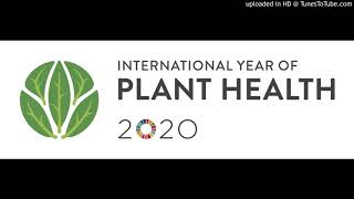 Agrobuzz - Micaf Joins The World In Recognizing 2020 As The International Year Of Plant Health