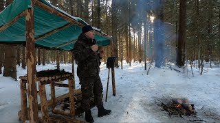 Однодневка | Одиночный поход в зимний лес | Морозный день | Готовка на костре  | Чай из чаги