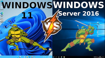 Windows 11 vs Windows Server 2016: RAM + CPU Usage
