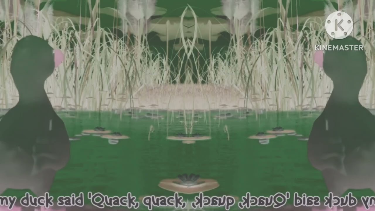 Luig Group Confusion Quack 