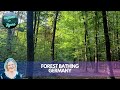 Relax and Rejuvenate Through Forest Bathing in a German Forest