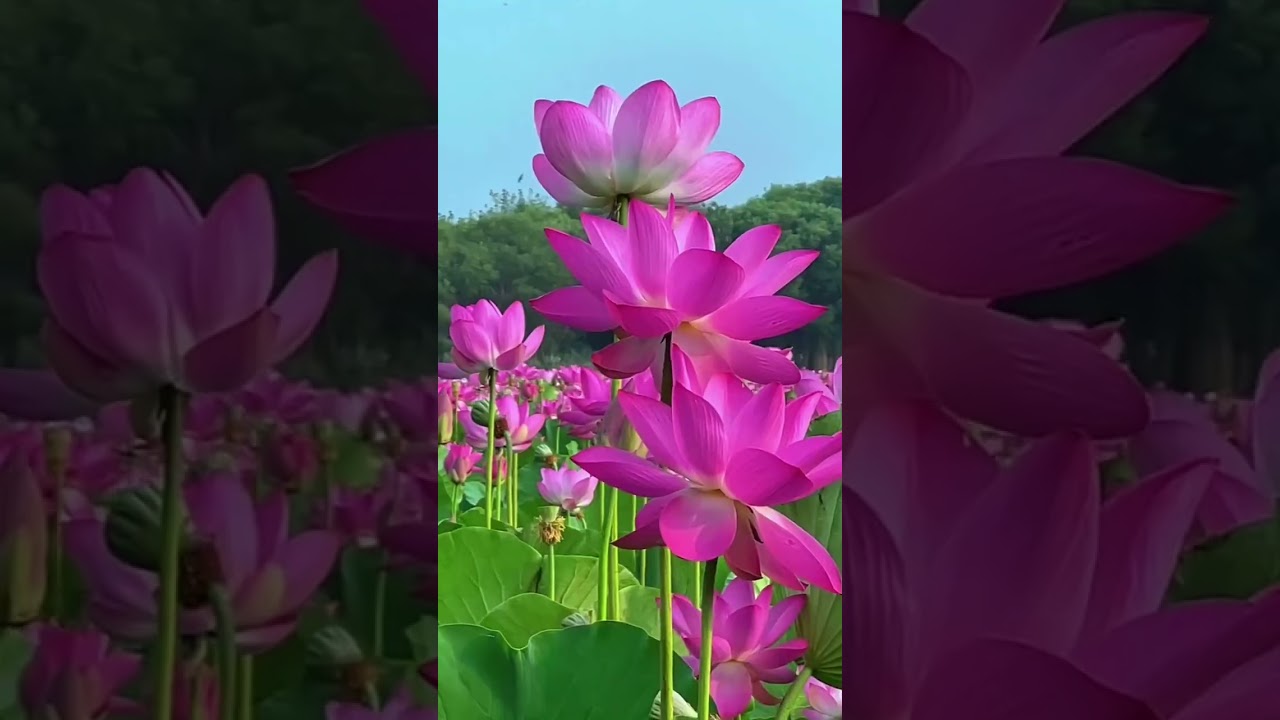 Beauty World (part 1)