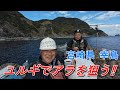クエ【アラ】宮崎県 幸島 ユルギでアラを狙う