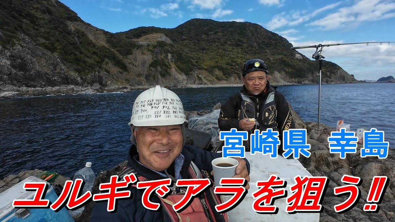 クエ【アラ】宮崎県 幸島 ユルギでアラを狙う