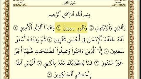 سورة التين مكررة 30 مرة ماهر المعيقلي