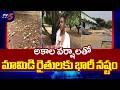 Mango Farmers Huge Loss with Untimely Rains In Medak District | TV5 News