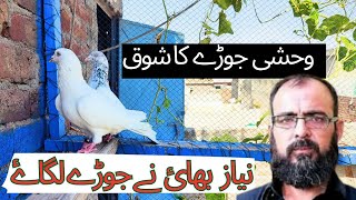 Nayaz Bhai Na Joday La Wehshi Pair Shok