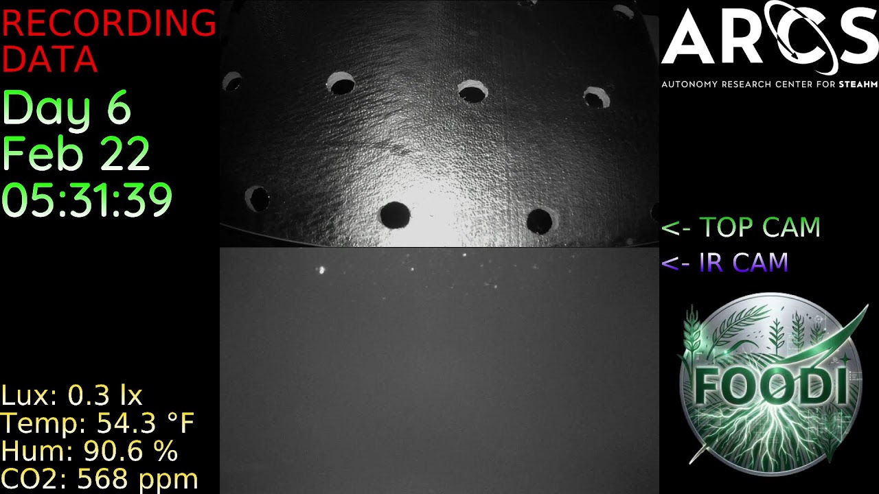 Christopher Butler Live Stream