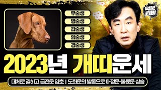 2023년 나이별로 보는 개띠 운세 계묘년에 모든 방면에서 운기가 뛰어난 최고의 개띠는 94년생, 82년생,…