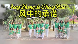 Feng Zhong de Cheng Nuo 风中的承诺 remix