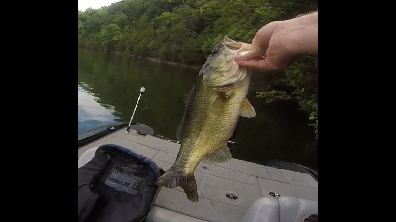 07/16/2026 Normandy Bass Fishing Trip – 7 bass but lost too many fish!
