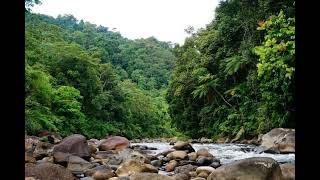 Download Lagu relaksasi musik suara air sungai dan piano @idolamusik4629 MP3