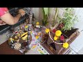 Delightful Happy Kaanum Pongal to you and your family ❤️#pongal#pongalcelebration #trending#youtube 