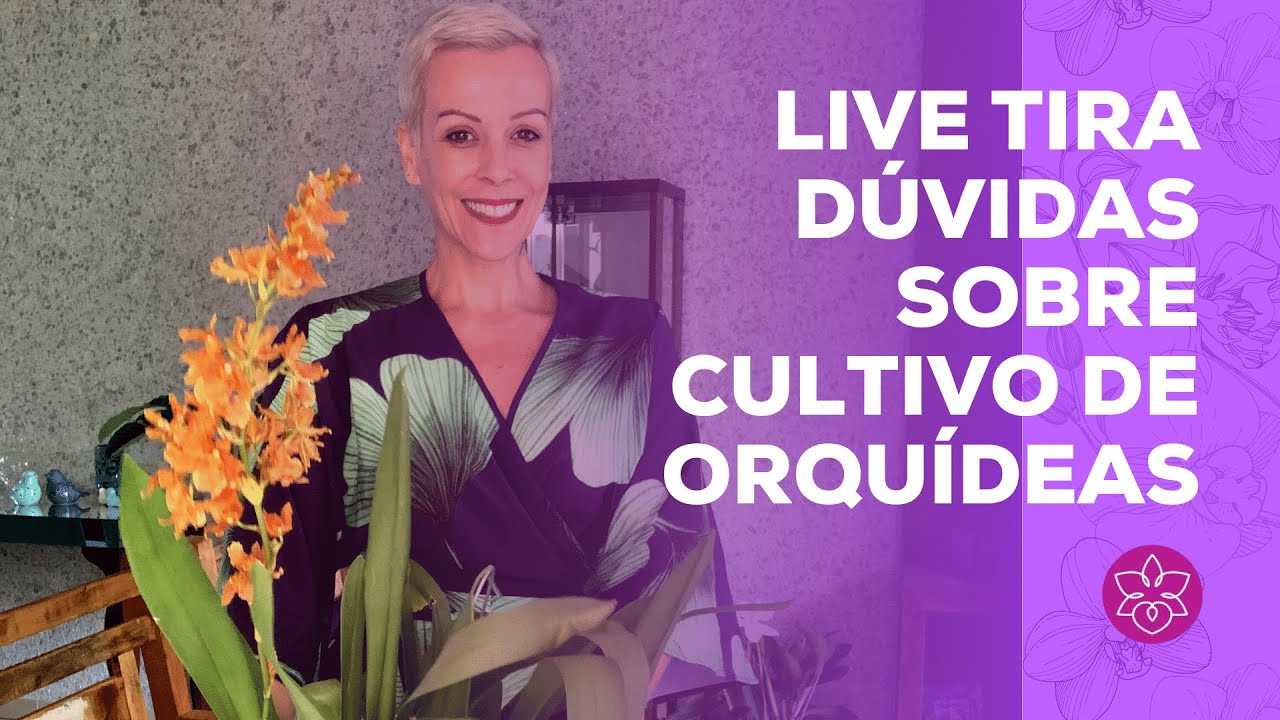 LIVE TIRA DÚVIDAS SOBRE CULTIVO DE ORQUÍDEAS