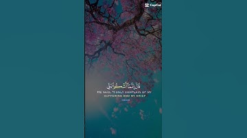 سورة يوسف / #اكسبلور_فولو #اكسبلور_فولو_ضيفوني #quran #القرآن_الكريم #تيك_توك