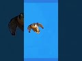 Duniya ka fastest hunter vs smart fox 😳🔥Speed nahi, dimaag jeeta game! 🦊💨