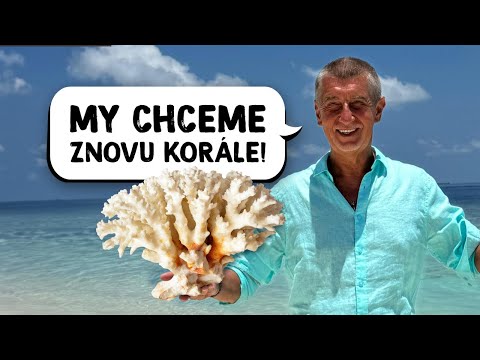 Tragické ÚČINKY HORKA aneb ANDY BABIŠ se ZBLÁZNIL. Dojemně ZACHRAŇUJE PLANETU