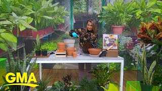 Are there benefits to indoor house plants?