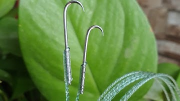 Câu Lươn: Chia sẻ cách làm giây câu lươn Đơn giản Hiệu Quả nhất