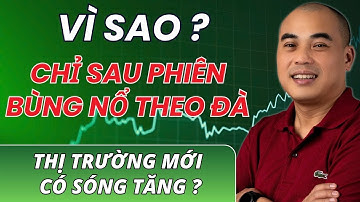 VSA thực chiến P2: Vì Sao Chỉ Sau Bùng Nổ Theo Đà, Thị Trường Mới Thực Sự Bắt Đầu Sóng Tăng