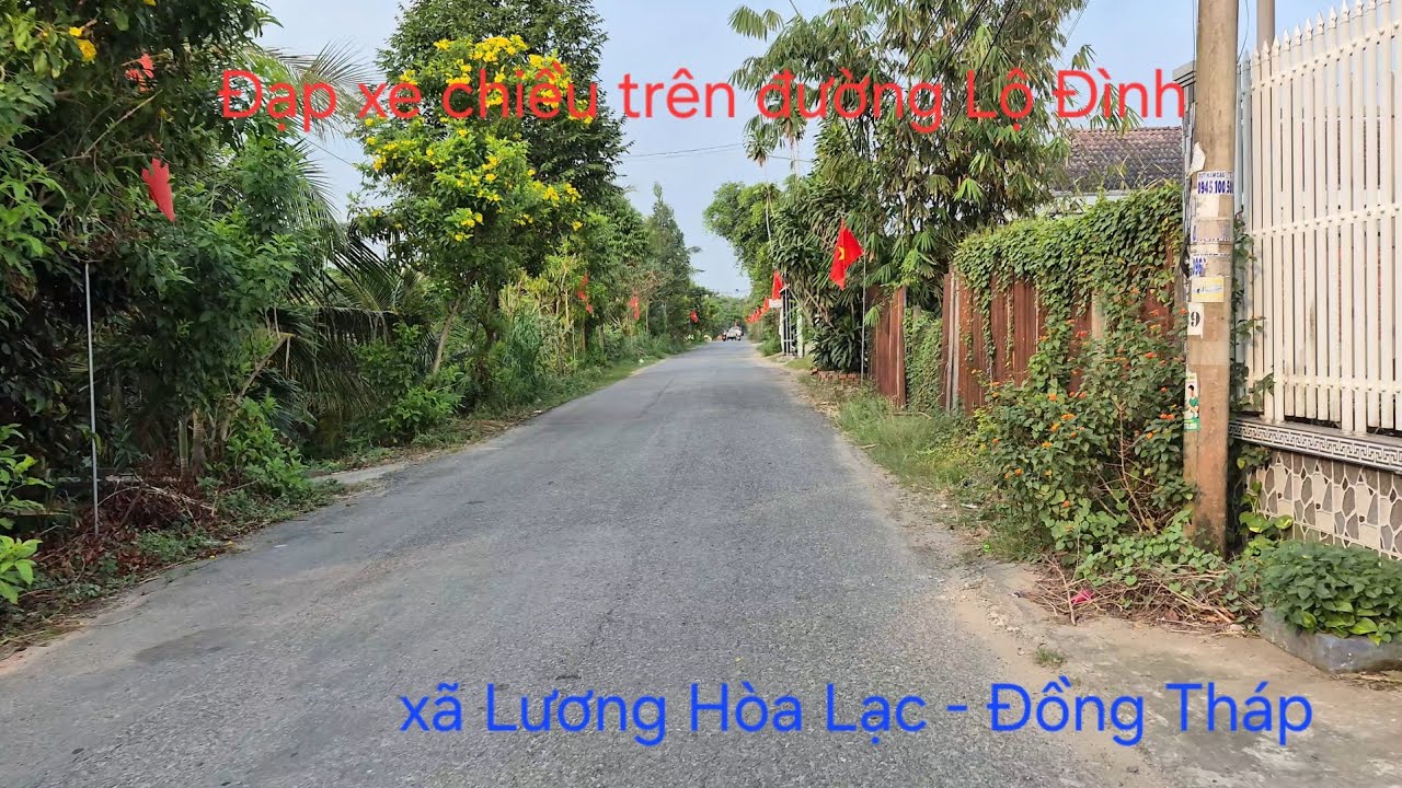 Đạp xe chiều trên đường Lộ Đình xã Lương Hòa Lạc - Đồng Tháp 