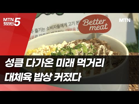   성큼 다가온 미래 먹거리 대체육 밥상 커졌다 머니투데이방송 뉴스