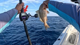Piscifun Trollix Digital Reel Line Counter Reel Review, And On-The-Water Action For Big Fish