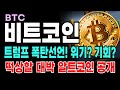 [비트코인 알트코인] 고래들 역대급 쓸어담는다. 집중해야할 알트 코인 공개! 큰거온다 이자리에서 준비하세요