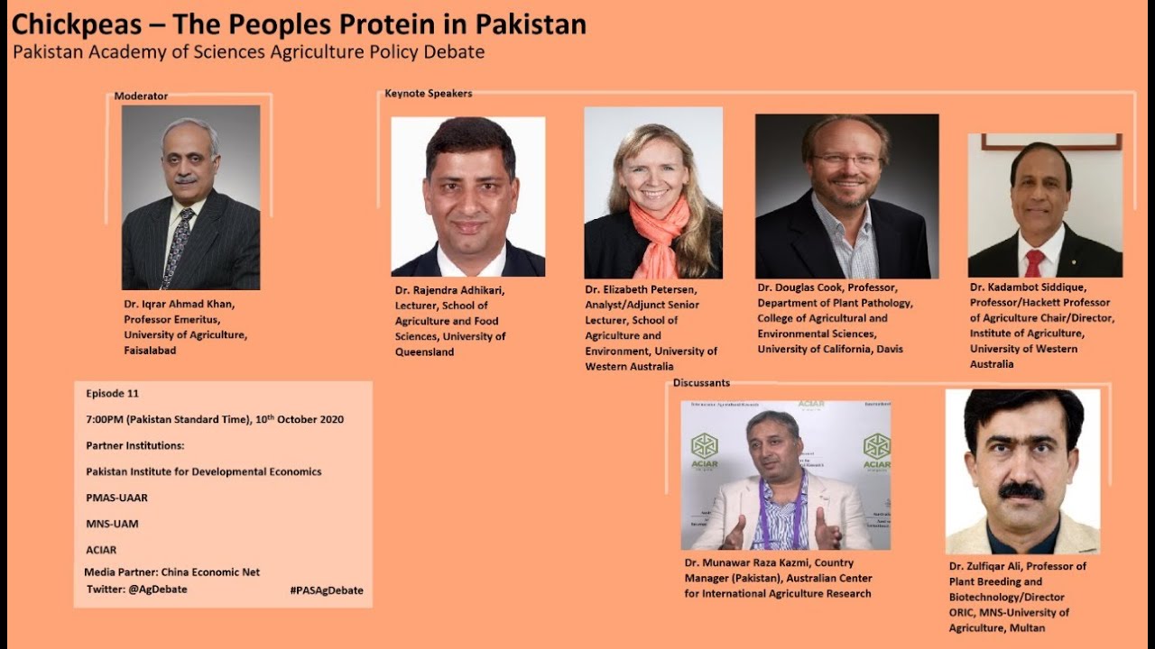 Pakistan Agriculture Policy Debate Episode 11 Pulses & Chickpeas   The Peoples Protein in Pakistan