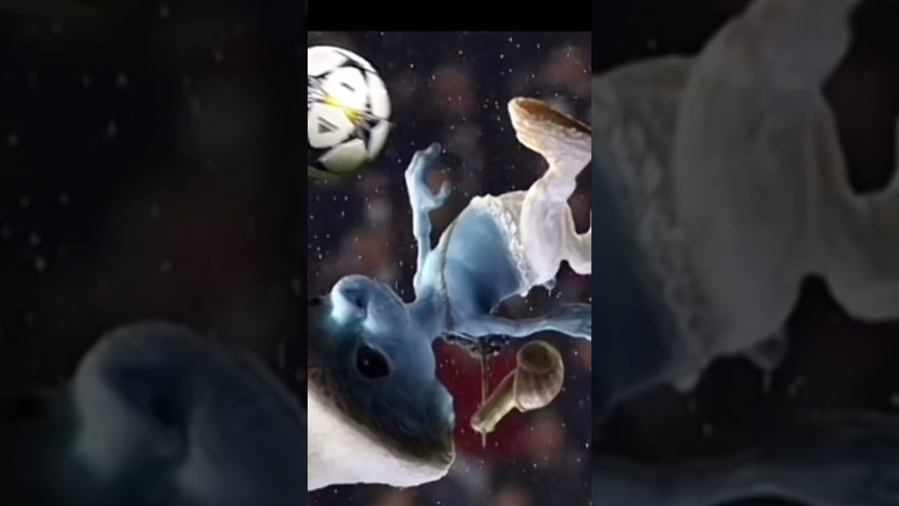 Smurf cat is the goat of football 