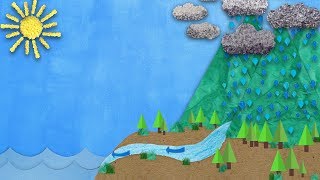 The Natural Water Cycle