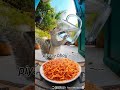 Spicy Maggi Wali Sizzling Squirrel” #funny