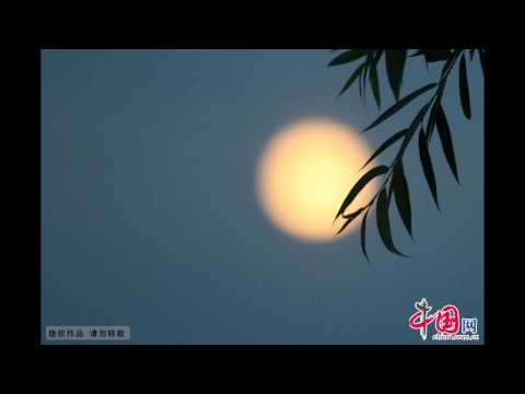Chinese Music - Gaohu - 平湖秋月 Autumn Moon over the Lake - Performed by Liu Tianyi 刘天一