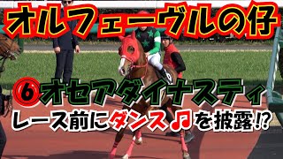 【クセつよ】父オルフェーヴルの仔 オセアダイナスティ 馬場に入る時に踊る‼ 現地映像