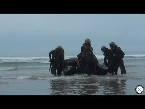 Japanese Amphibious Soldiers Train with U.S. Marines in Iron Fist 2019