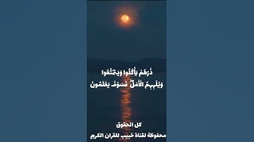 اول ايات سورة الحجر❤ |   (  *هام*  *هام*  *كل الحقوق محفوظة لدى قناة خبيب للقرآن الڪريم*  )