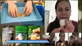 Balanço Geral desvenda polêmica do ovo falso