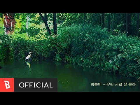 [Lyrics Video] Hasonbi(하손비) - We Don't Really Know Each Other(우린 서로 잘 몰라)