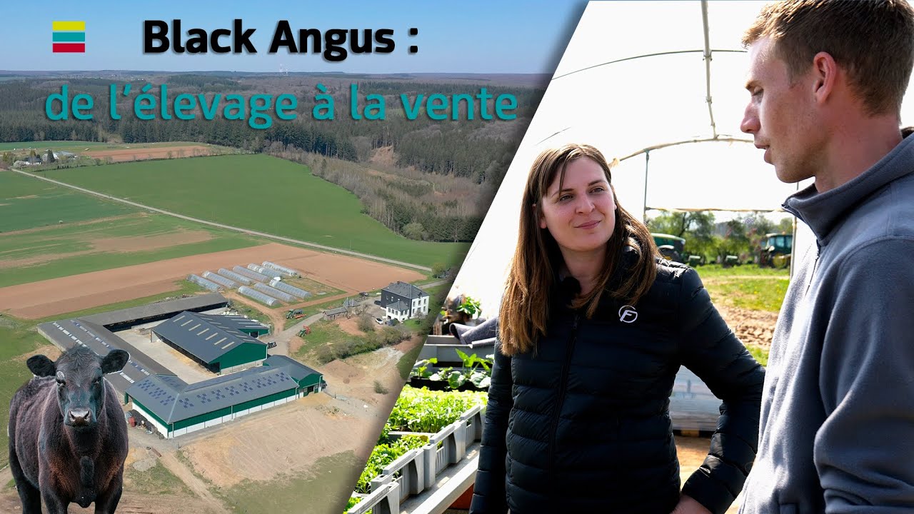S2 - E21 : IL ÉLÈVE, TRANSFORME ET VEND EN DIRECT SES BLACK ANGUS 🐂 🥩 🌾