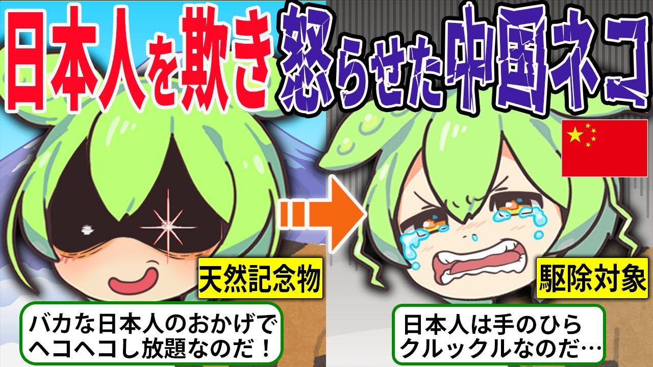 【元天然記念物】天井裏に棲みつく中国産ネコ「ハクビシン」が日本で調子に乗り過ぎた結果www【ずんだもん＆ゆっくり解説】