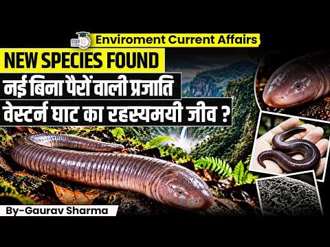 New Species Found in Maharashtra: Meet Gegeneophis chandgadi, India’s Legless Amphibian