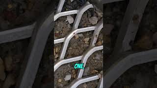 100 shovels of paydirt #rockerbox #gold #fishing #theoldmouldy