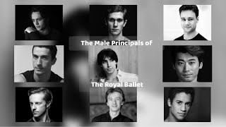 The Royal Ballet ~ Male Principals 2023/24