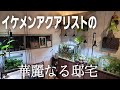 【ルームツアー】イケメンアクアリストの華麗な邸宅に潜入‼ aquarium アクアリウム エンゼルフィッシュ ADA 水草 Tessy